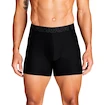 Moške boksarice Under Armour Perf Tech 6in Black