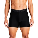 Moške boksarice Under Armour Perf Tech 6in Black