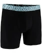 Moške boksarice Under Armour Perf Tech 6in Black