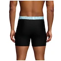Moške boksarice Under Armour Perf Tech 6in Black