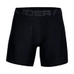 Moške boksarice Under Armour  Tech 6in 2Pack Black