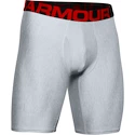 Moške boksarice Under Armour  Tech 9in 2Pack Grey