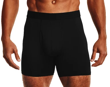Moške boksarice Under Armour  Tech Mesh 6in 2Pack Black