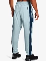 Moške hlače Under Armour