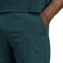 Moške kratke hlače adidas  Tennis Climacool Ergo Shorts Aurora Ivy