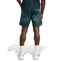 Moške kratke hlače adidas  Tennis Pro Climacool Ergo Shorts Aurora Ivy