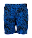 Moške kratke hlače FZ Forza  Luton M Shorts Olympian Blue XL