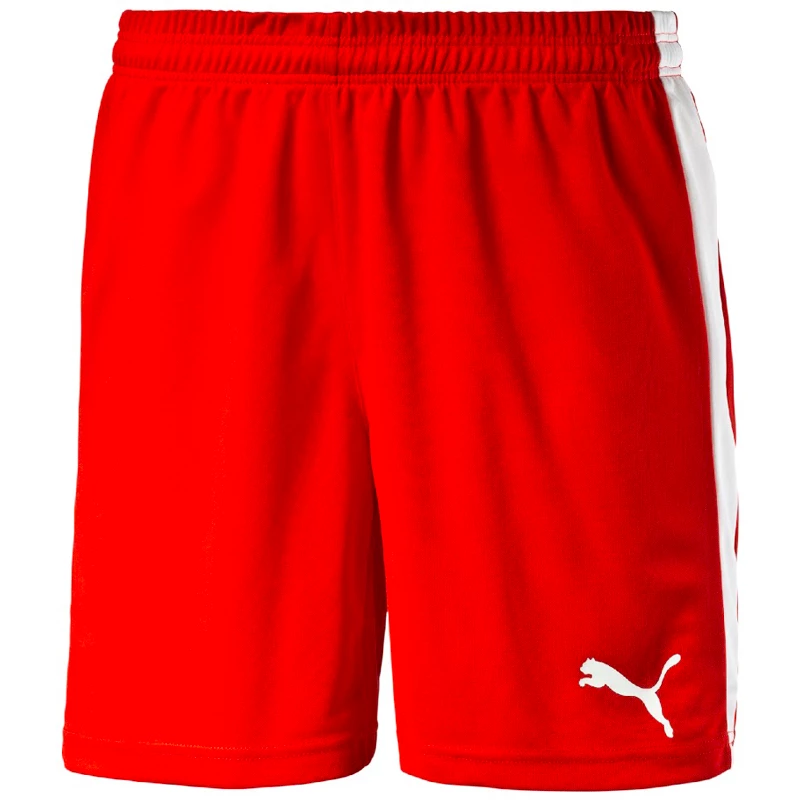 Moške kratke hlače Puma  Pitch