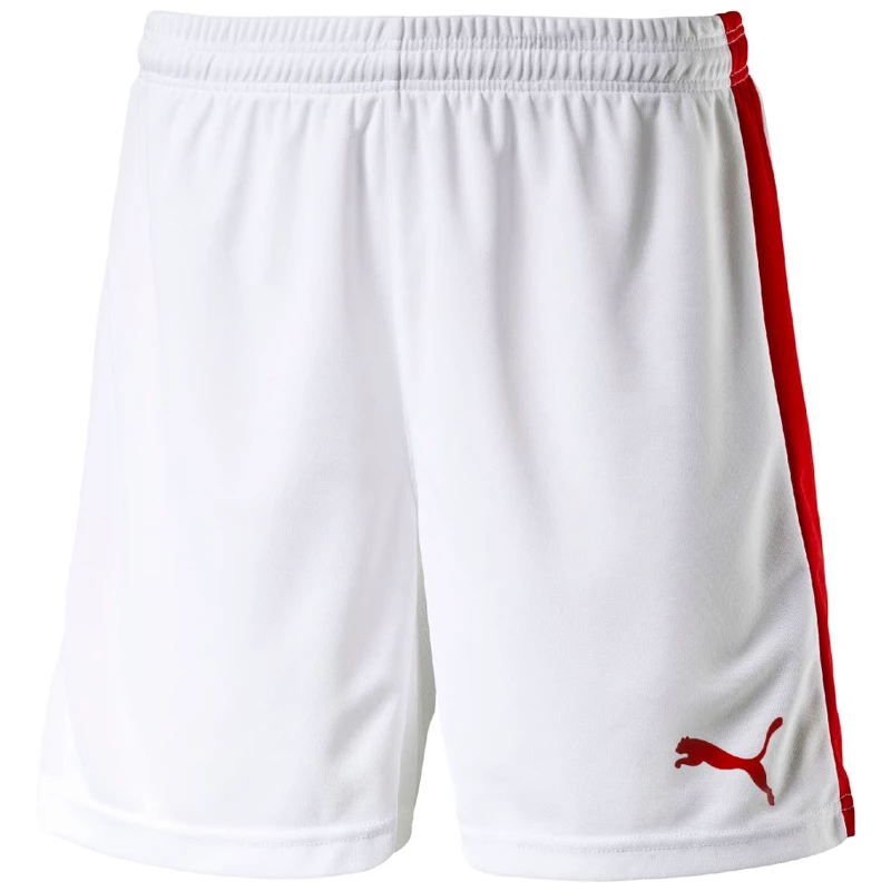 Moške kratke hlače Puma  Pitch