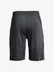 Moške kratke hlače Under Armour  Raid 2.0 Shorts-GRY