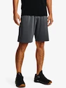 Moške kratke hlače Under Armour  Raid 2.0 Shorts-GRY