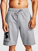 Moške kratke hlače Under Armour  Rival FLC Big Logo Shorts gray S