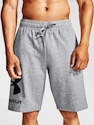 Moške kratke hlače Under Armour  Rival FLC Big Logo Shorts gray S