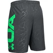 Moške kratke hlače Under Armour  Vanish Woven Emboss