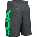 Moške kratke hlače Under Armour  Vanish Woven Emboss