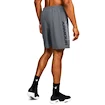 Moške kratke hlače Under Armour  Woven Graphic Wordmark Short Grey