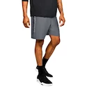 Moške kratke hlače Under Armour  Woven Graphic Wordmark Short Grey