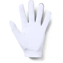 Moške rokavice Under Armour  Medal Golf Glove grey LLG