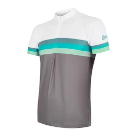 Moški kolesarski dres Sensor Cyklo Summer Stripe Grey/Green