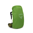 Moški nahrbtnik OSPREY ATMOS AG LT 65 scenic valley/green peppercorn