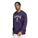 Moški pulover adidas  Heritage Graphic Crew Sweatshirt