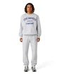 Moški pulover CCM  Athleisure Crew Grey Melange