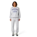Moški pulover CCM  Athleisure Crew Grey Melange