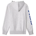 Moški pulover CCM  Athleisure Hood Grey Melange