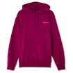 Moški pulover CCM  Casual Hood Boysenberry