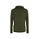 Moški pulover Icebreaker Merino 260 Quantum IV LS Zip Hoodie Loden