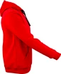 Moški pulover Victor  Sweater Team 5079 Red