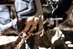 Orodje Blackburn  Big Switch Multi Tool