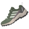 Otroška obutev za uporabo na prostem adidas Terrex AX4R Silver Green/ Linen Green/Preloved Fig