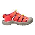 Otroški sandali Keen NEWPORT BOUNDLESS Dubarry/Evening primrose