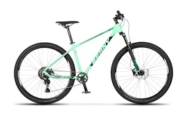 Otroško kolo Beany Blaster 29 Light Green, 19"