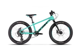 Otroško kolo Beany Blaster XC 20 Mint