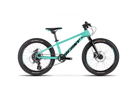 Otroško kolo Beany Blaster XC 24 Mint
