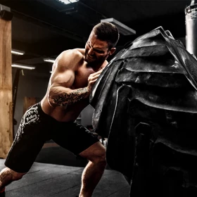 Fitnes in trening