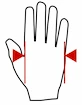 Rokavice za fitnes MadMax  Outdoor Gloves MOG001