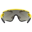 Športna očala Uvex  Sportstyle 236 Set Sunbee-Black Mat/Mir.Silver Cat. 3 + Cat. 0 (S5330046216)