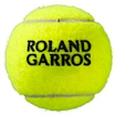 Teniške žogice Wilson  Roland Garros All Court (4 Pack)