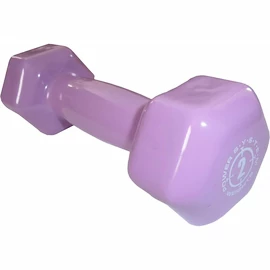 Utež Power System Vinyl Dumbell 2 Kg Purple
