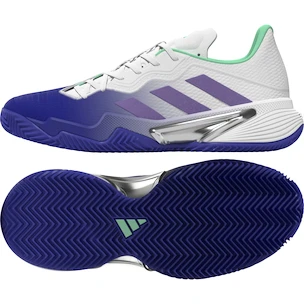 Ženska obutev za tenis adidas Barricade W Clay Blue/Violet
