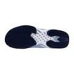 Ženska obutev za tenis Mizuno Wave Exceed Tour 6 CC W BelAirBlue