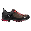 Ženska obutev za uporabo na prostem Salewa MTN Trainer 2 GTX  UK 4,5