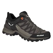 Ženska obutev za uporabo na prostem Salewa WS MTN Trainer Lite GTX Wallnut/Fluo Coral
