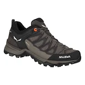 Ženska obutev za uporabo na prostem Salewa WS MTN Trainer Lite GTX Wallnut/Fluo Coral