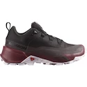 Ženska obutev za uporabo na prostem Salomon CROSS HIKE GTX 2 W  UK 5