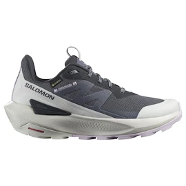 Ženska obutev za uporabo na prostem Salomon Elixir Activ Gore-Tex India Ink/Glacier Gray/Orchid Petal