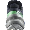 Ženska tekaška obutev Salomon 6 Gtx Carbon / Provence / White